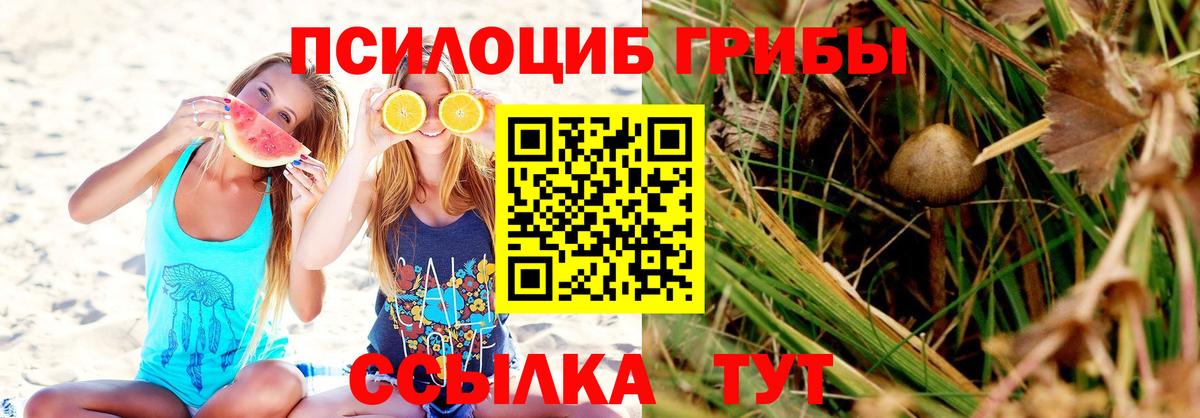Псилоцибиновые грибы Cubensis Зеленокумск